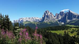 una montaña con flores púrpuras delante de ella en Residence La Planta, en Ortisei