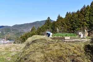 Gallery image of meet tree STAY - 'Asunaro' in Wada