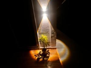 Jízda na kole v ubytování Mane Malnad Farmstay nebo okolí