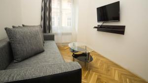 TV tai viihdekeskus majoituspaikassa Black & White Apartment Prague by Wenceslas Square and Muzeum