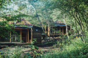 a house in the woods with trees at SANU 2nd Home 北軽井沢 2nd in Kita-karuizawa +108 photos