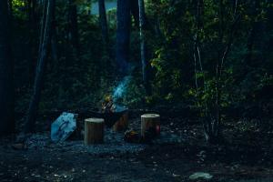 a campfire in the middle of a forest at night at SANU 2nd Home 北軽井沢 2nd in Kita-karuizawa