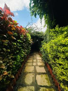 Zahrada ubytování Istaqbal Hotel Mukki