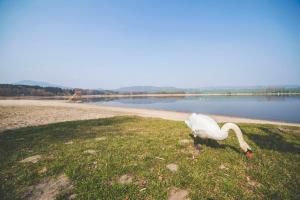 Φυσικό τοπίο κοντά σε αυτό το ξενοδοχείο