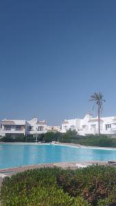 a swimming pool with a palm tree and some buildings at Naama Bay in Sharm El Sheikh +102 photos