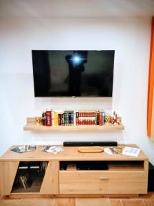 TV a/nebo společenská místnost v ubytování Ferienwohnung auf dem Gutshof Renz