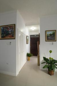 Foto dalla galleria di Choose To Be Happy at EI8HT! - Super Studios and Penthouse Apartment a Kingston
