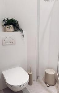 La salle de bains est pourvue de toilettes et d'une plante murale. dans l'établissement Suites am Herzogberg, à Brunn am Gebirge 2 autres photos