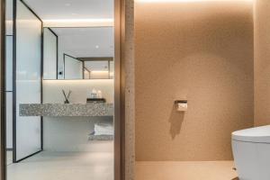 a bathroom with a toilet and a mirror at Chenfeng Hotel Wuhan Baishazhou Longhu Tianjie Branch in Wuhan