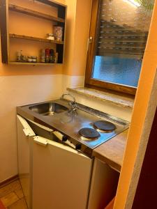 Η κουζίνα ή μικρή κουζίνα στο Apartement 1 Zur alten Press