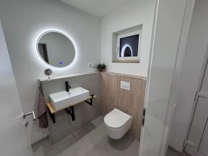 une salle de bain avec toilettes, lavabo et miroir dans l'établissement Möbliertes Familienhaus in Hamburg, à Niederdorla