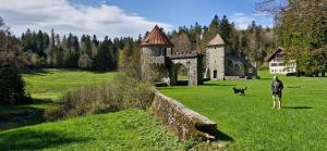 Φυσικό τοπίο κοντά σε αυτό το διαμέρισμα