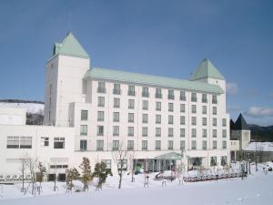 겨울의 Blue Ridge Hotel