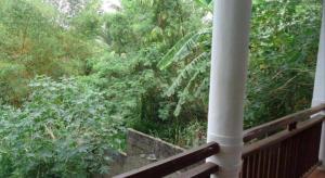 ein Blick auf einen Dschungel von einer Veranda in der Unterkunft Seven Flowers Hotel in Nallapambukulama + 11 Fotos