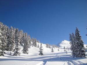 a snow covered slope with trees and a mountain at Apart Heim in Fügen
