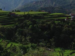 旅馆周边自然景观