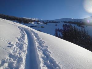 a snow covered slope with trees in the distance at Apart Heim in Fügen