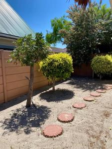 Cape TownUbuntu Guest House的花园里有两棵树和红色踏脚石。