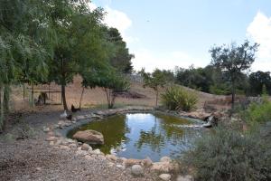 Příroda nedaleko prázdninového domu