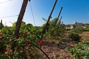 Zahrada ubytování Borgo Del Tempo Ritrovato - Luxury Relais in Puglia + 264 fotografií