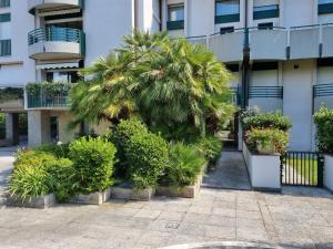 Κήπος έξω από το Appartamento Santa Barbara