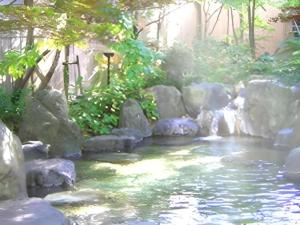 庄ケ洞にあるGujo Kogen Hotelの岩と木の流れ