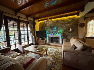 a living room with a couch and a fireplace at Monica's Tropical Villa in Iraklitsa