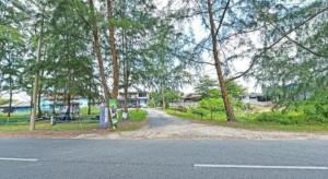 Kampong BaruにあるOYO 90596 Casaria Innの道路脇の木々の空き道