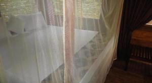 a curtain on a window in a room at Inn On The Tree in Kibissa +80 photos