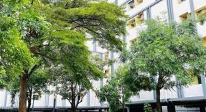 um grupo de árvores em frente a um edifício em ONE Residence em Ban Lam Rua Taek