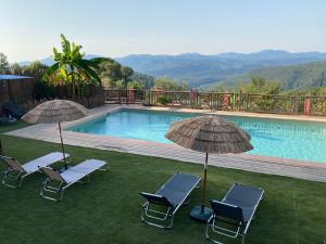 Domaine de la Brugaye Mimosa في Saint-Cézaire-sur-Siagne: مسبح مع كرسيين ومظلتين