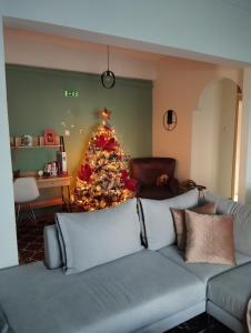 een kerstboom in een woonkamer met een bank bij Notos in Petrokefálion