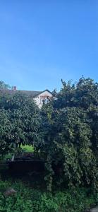 Naturlandskabet i nærheden af lejligheden