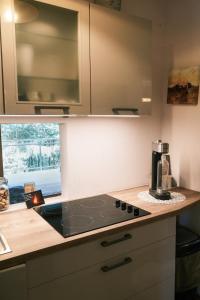 Η κουζίνα ή μικρή κουζίνα στο Waldresidenz Deluxe +22 φωτογραφίες