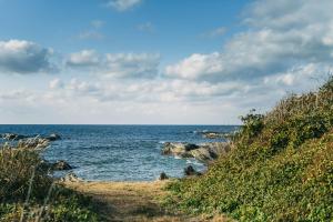 Příroda nedaleko prázdninového domu + 51 fotografií