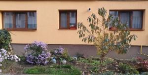 a house with some flowers in front of it at Gaby's Apartment in Ocna-Mureşului