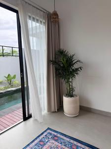 a room with a potted plant next to a sliding glass door at Aloka Villa -Stylish 2 bedroom villa in the heart of Seseh in Munggu +13 photos