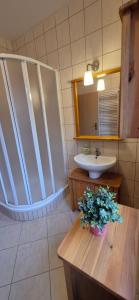 Vannituba majutusasutuses Apartmán Vítkovice +17 fotot