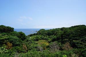 Phong cảnh thiên nhiên gần khách sạn căn hộ