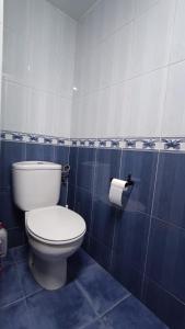 a bathroom with a toilet and a roll of toilet paper at Casa Almarex in Gobiendes +16 photos