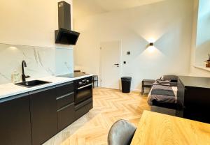 a kitchen with a sink and a counter top at Luxe studioappartement 2 gasten - 52-1 in Weener