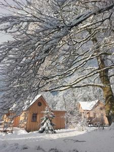 a tree covered in snow next to a barn at Au Coq et fa gnes in Jalhay