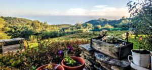 Příroda nedaleko prázdninového domu