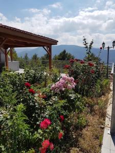 ein Garten mit roten und rosa Blumen und ein Pavillon in der Unterkunft VILLa ERASMIA in Kyperounta