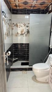 Un baño con ducha y un inodoro. en Rum Laura luxury camp, en Wadi Rum 13 fotos más