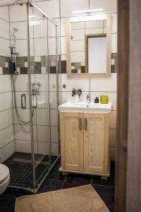 DrégelypalánkHont Vendégház的带水槽和淋浴的浴室