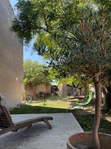 a bench sitting next to a tree in a yard at Gîte au cœur des vignes, près du canal du Midi in Capestang