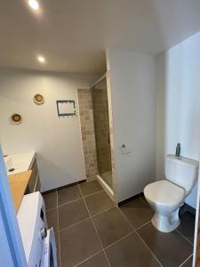 a bathroom with a toilet and a shower at Gîte au cœur des vignes, près du canal du Midi in Capestang +23 photos