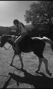 Επισκέπτες που μένουν στο VinVid Harties Guest House