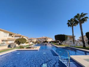 een groot zwembad met palmbomen en huizen bij R-66-A-B Pisos La Mata in La Mata